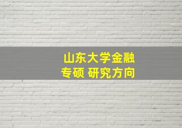 山东大学金融专硕 研究方向